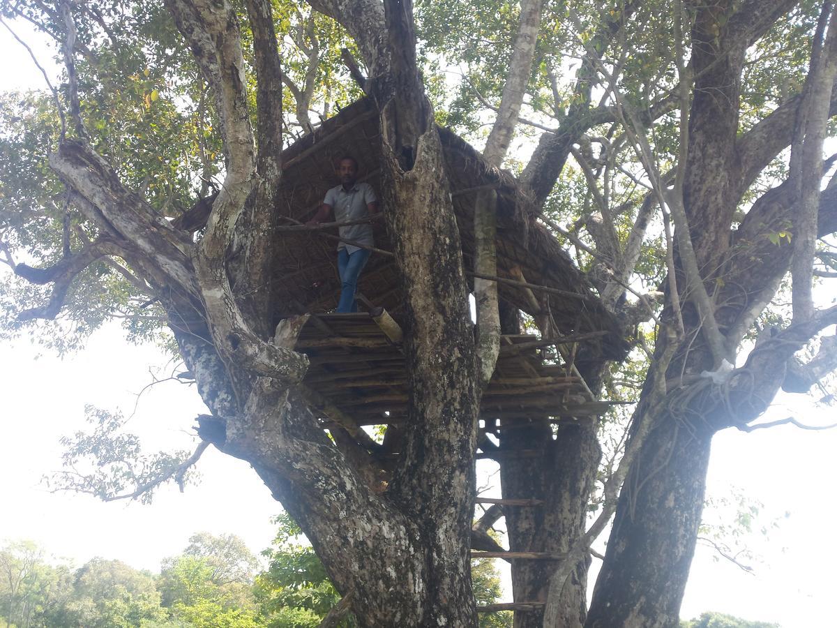 Greenwood Udawalawa Safari Resort Udawalawe Exteriör bild