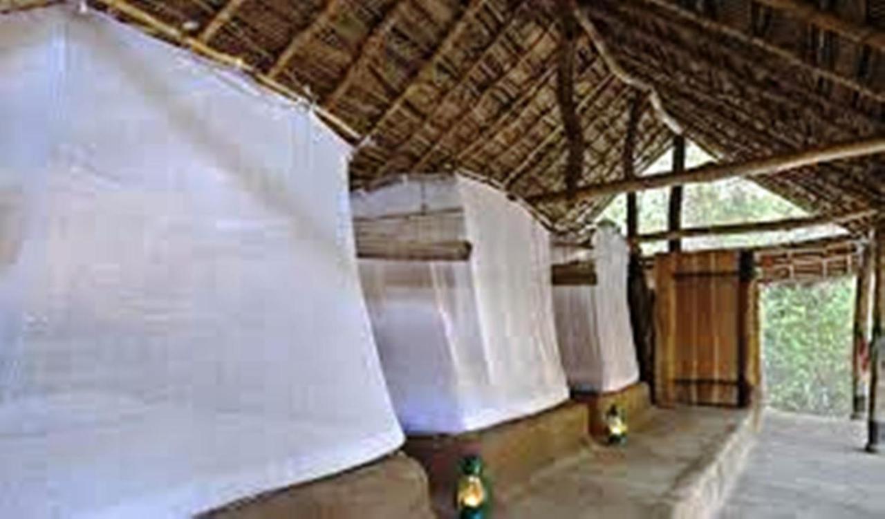 Greenwood Udawalawa Safari Resort Udawalawe Exteriör bild